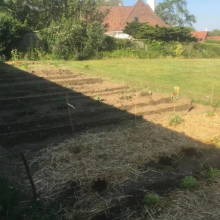 La Roseauliere * Bazinghen