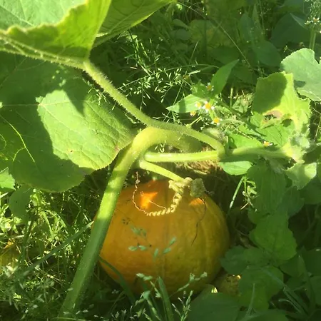 La Roseauliere Bazinghen